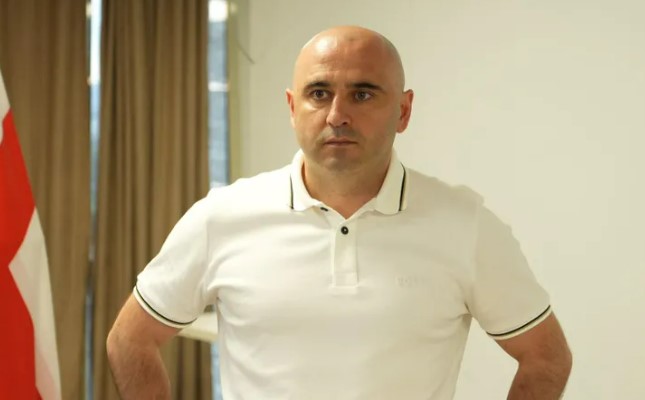ლევან ხაბეიშვილი - მინდა გთხოვოთ, გაუფრთხილდეთ ჩვენს დიდ ოჯახს, „ნაციონალურ მოძრაობას“ - ყველა მოერიდოს, საჯაროდ შეურაცხყოს ჩვენი ოჯახი, ყველამ გამოიჩინოს თმენის უნარი, გონიერება და ზიანი არ მოვუტანოთ ჩვენს გუნდს