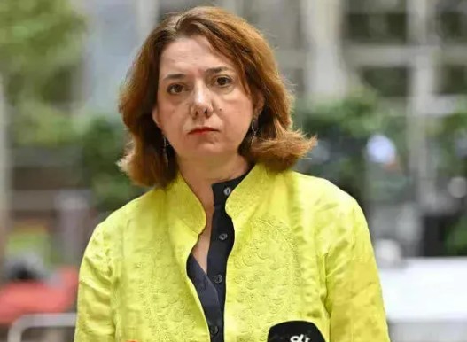 სალომე სამადაშვილი - როგორც ჩანს, საქართველოს არალეგიტიმურ რეჟიმს რუსეთისგან უფლება ჰქონდა მიღებული, უკრაინის მხარდამჭერ კონვენციას შეერთებოდა, თუმცა ვნახოთ, ბოლომდე მიიყვანს თუ არა პროცესს - საჭიროა რატიფიცირება