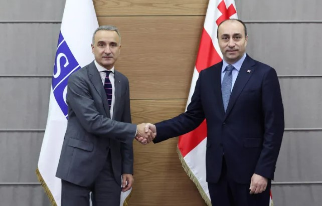 გელა გელაძე ეუთო-ს საპარლამენტო ასამბლეის პრეზიდენტს შეხვდა